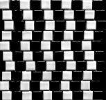 Illusion - black and white mosaic